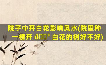 院子中开白花影响风水(院里种一棵开 🐳 白花的树好不好)